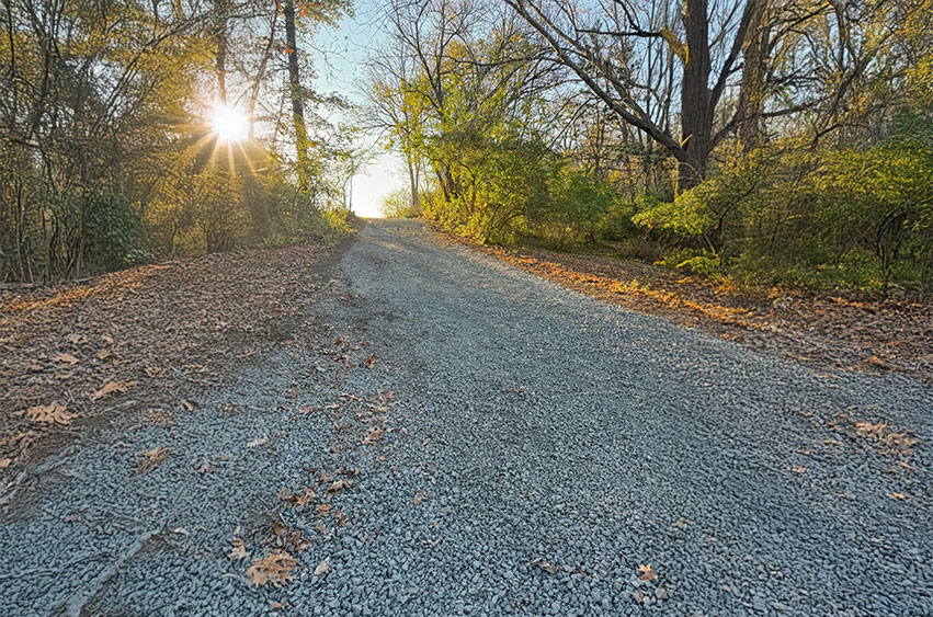 Gravel driveway through wooded land at sunrise.