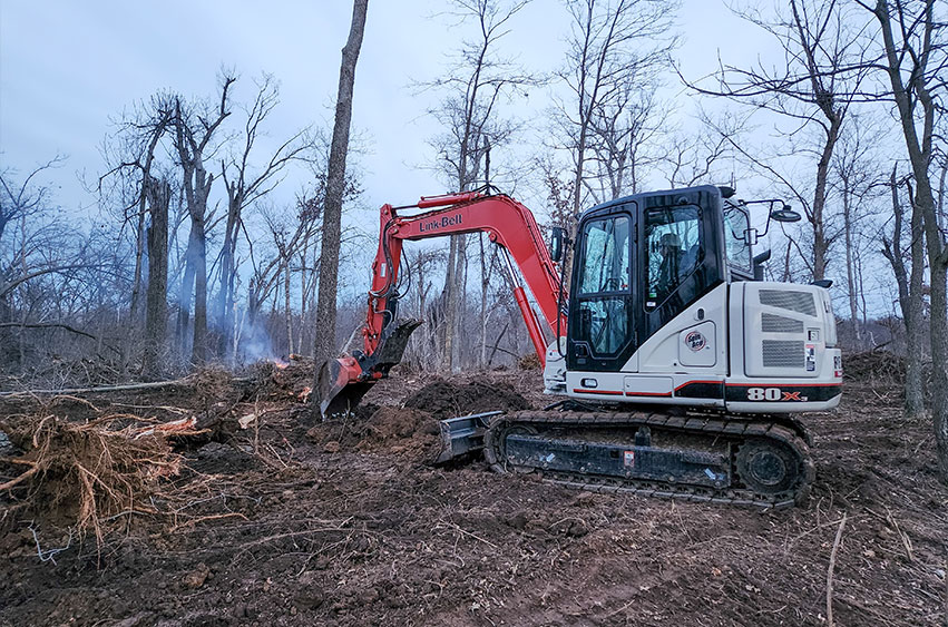 Excavator clearing trees and brush in a forested area.