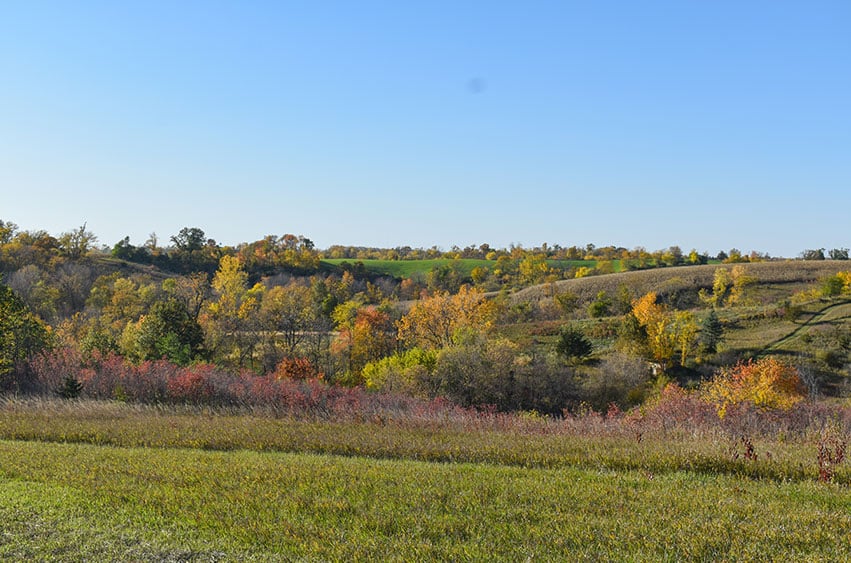 Open rolling hills with colorful fall foliage and grassy fields.